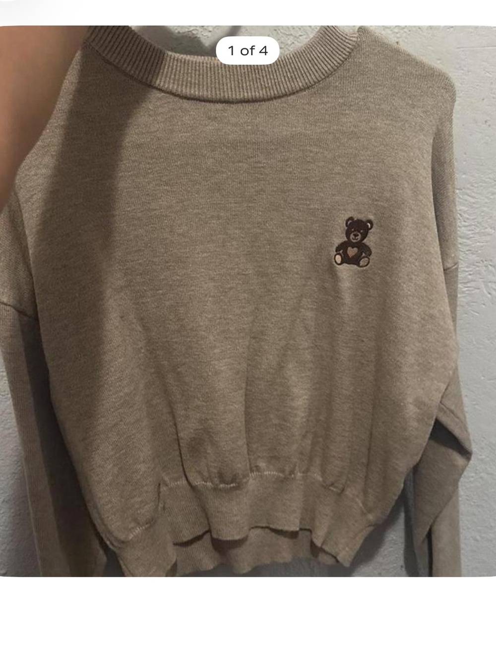 Streetwear Society Beige Crewneck Sweater with Bear Motif